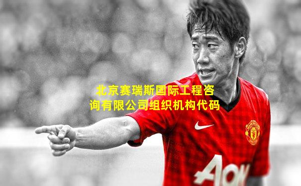 北京赛瑞斯国际工程咨询有限公司组织机构代码