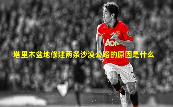 塔里木盆地修建两条沙漠公路的原因是什么