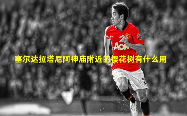 塞尔达拉塔尼阿神庙附近的樱花树有什么用
