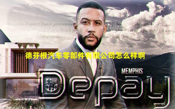 德芬根汽车零部件有限公司怎么样啊