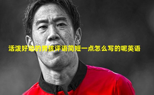 活泼好动的男孩评语简短一点怎么写的呢英语