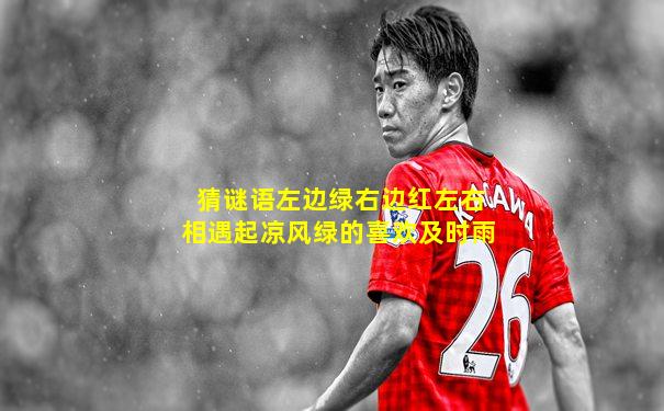 猜谜语左边绿右边红左右相遇起凉风绿的喜欢及时雨